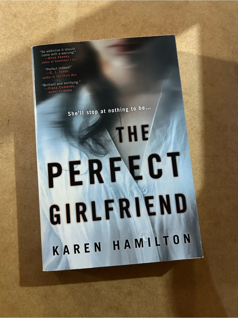 The Perfect Girlfriend by Karen Hamilton